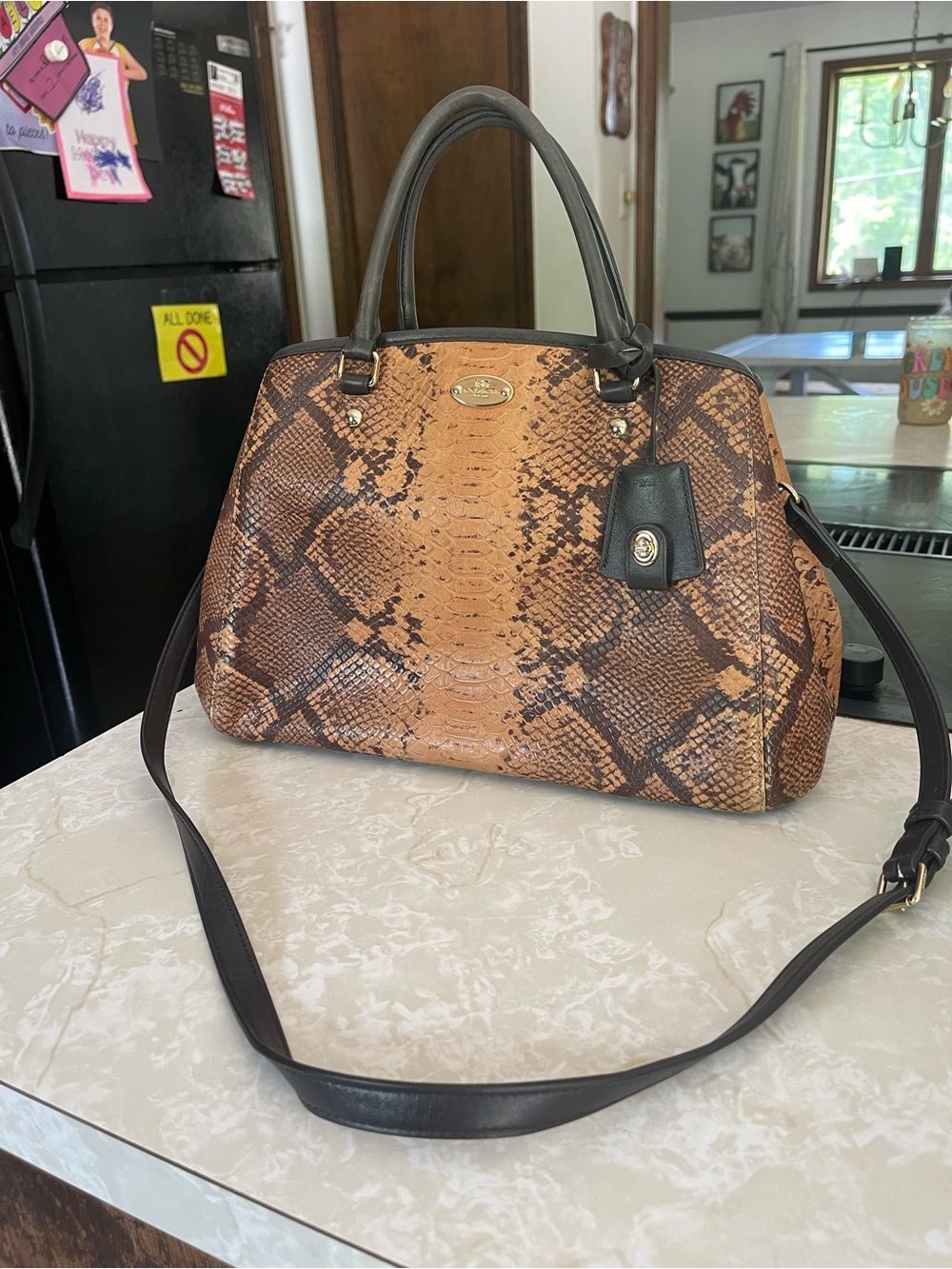 Coach Snake Margo Carryall Crossbody Shoulder Bag F35275 (180)